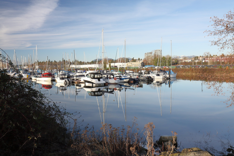 Illustration for article titled Pics from the Curbside: 2018-01-01 at Marpole